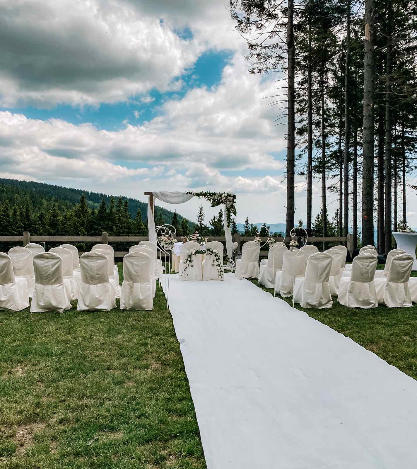 Ingrid in Tine - poroka na Kopah, fotografija 5